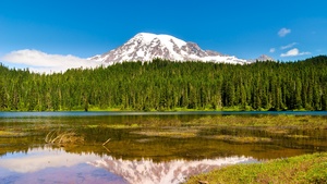 Mount Rainier, Volcano, Seattle, Washington, USA, Landscape, Blue Sky, Reflection, Green Trees, Scenery, Lake, Mountain Peak, Snow covered, 4K wallpaper