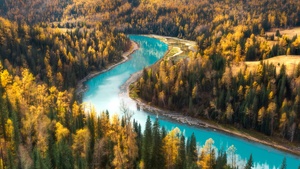 Aerial view, Forest, Scenic, Trees, China, 4K wallpaper