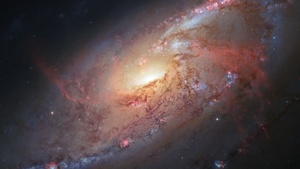 Spiral galaxy, Constellation, Nebula, Stars, Astronomy, Cosmos, 4K wallpaper