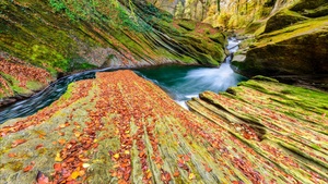 River, Autumn, Foliage, Stream, France, Rocks, 4K wallpaper