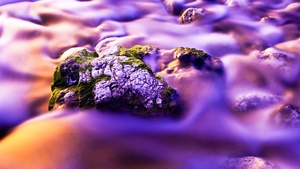 Aesthetic, Water Stream, Moss, Purple background, Long exposure, Rock, Closeup Photography, Beautiful, 4K wallpaper