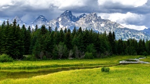Grand Teton National Park, Green Meadow, Wyoming, Landscape, Water Stream, Forest, Green Trees, Glacier mountains, Snow covered, Mountain range, Thick Clouds, Scenery, 4K wallpaper