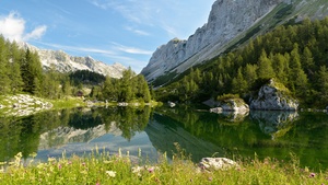 Slovenia, Mountains, Landscape, Reflection, Green Trees, Blue Sky, Clear sky, 4K wallpaper