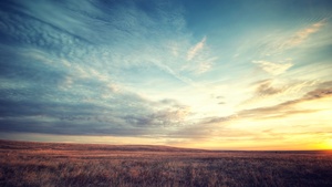 Meadow, Landscape, Horizon, Fields, Sunset, Landscape, Cloudy Sky, 4K wallpaper