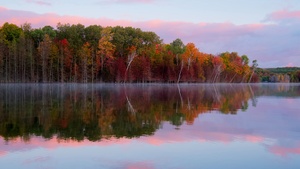 Autumn trees, Forest, Body of Water, Reflection, Lake, Landscape, Scenery, Outdoor, 4K wallpaper