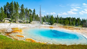 Yellowstone National Park, Tourist attraction, Green Trees, Landscape, Blue Sky, 4K wallpaper