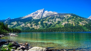Grand Teton National Park, Wyoming, Blue Sky, Clear water, Rocks, Landscape, Scenery, Green Trees, Daytime, 4K wallpaper