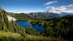 Mount Rainier, Landscape, Blue Sky, Glacier mountains, Snow covered, Green Trees, Clear sky, 4K wallpaper
