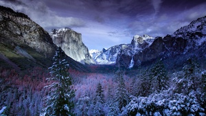 Yosemite National Park, Yosemite Valley, Landscape, California, USA, 4K wallpaper