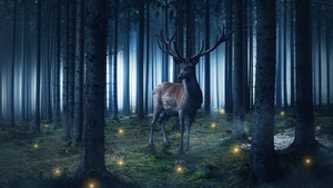 Hirsch, Wild animal, Woods, Forest, Tall Trees, Foggy, 4K wallpaper
