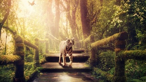 White tiger, Wooden stairs, Forest, Jungle, Green Trees, Sunlight, Wooden Planks, 4K wallpaper