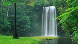 Australia, Waterfalls, Forest, Green Trees, Landscape, Cliff, Long exposure, Water Stream, Beautiful, Scenery, 4K wallpaper