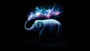 Elephant, Colorful, Surreal, AMOLED, Black background, 4K wallpaper