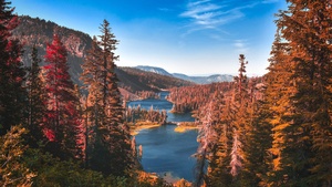 Yosemite National Park, River, Forest, Autumn, Scenery, Landscape, Trees, Valley, 4K wallpaper
