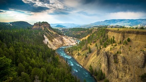 Yellowstone National Park, USA, Cliff, River Stream, Landscape, Canyon, Green Trees, Valley, Scenery, 4K wallpaper