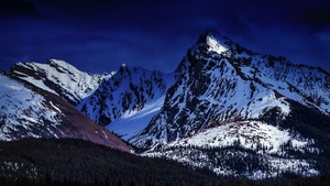 Glacier mountains, Forest, Snow covered, Dark Sky, Green Trees, Mountain Peak, Winter, Landscape, 4K wallpaper