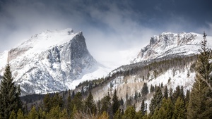 Rocky Mountains, Colorado, Snow covered, Winter, Foggy, Green Trees, Landscape, 4K wallpaper