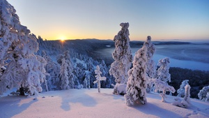 Finland, Hill, Winter, Snowy Trees, Snow covered, Sunrise, Horizon, Landscape, 4K wallpaper