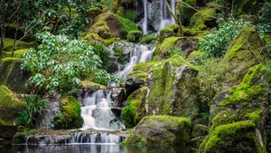 Portland Japanese Gardens, Waterfalls, Green Moss, Rocks, Greenery, Water Stream, Long exposure, Mossy rocks, 4K wallpaper