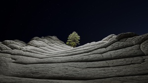 macOS Big Sur, Dark aesthetic, Stock, Night, Lone tree, Sedimentary rocks, Starry sky, iOS 14, Vermilion Cliffs, 4K wallpaper