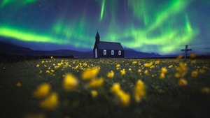 Aurora Borealis, Church, Northern Lights, Iceland, Yellow flowers, Scenic, Landscape, Evening sky, 4K wallpaper