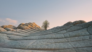 macOS Big Sur, Daylight, Stock, Daytime, Lone tree, Sedimentary rocks, iOS 14, Vermilion Cliffs, 4K wallpaper