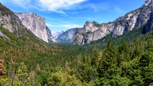 Yosemite National Park, Mountains, California, Blue Sky, Valley, Landscape, Green Trees, Scenery, 4K wallpaper