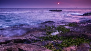 Seascape, Coast, Sunset, Ocean, Evening sky, Purple, Moss, Landscape, 4K wallpaper