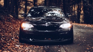 BMW, Black cars, Cinematic, Autumn, Foliage, Road, Tarmac, 4K wallpaper
