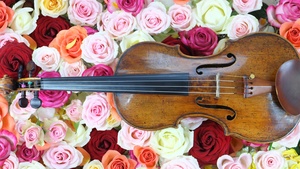 Rose flowers, Violin, Multicolor, Colorful, Floral Background, Blossom, Beautiful, Musical instrument, 4K wallpaper