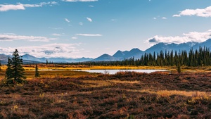 Autumn season, Landscape, Scenery, Beautiful, Mountain range, Green Trees, Clear sky, Lake, 4K wallpaper