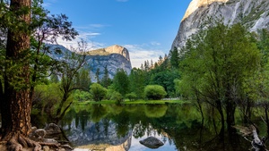 Yosemite Lake, Reflection, Green Trees, Body of Water, Woods, Landscape, Scenery, Greenery, Pleasant, Valley, Clear sky, Yosemite National Park, 4K wallpaper