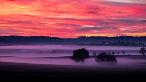 Orange sky, Sunset, Landscape, Foggy, Scenery, Clouds, Trees, Silhouette, Dawn, 4K wallpaper
