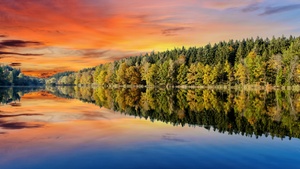 Forest, Afterglow, Trees, Sunset, Orange sky, Mirror Lake, Body of Water, Reflection, Landscape, Scenery, 4K wallpaper