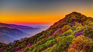 Sequoia National Park, California, United States, Green Trees, Colorful Sky, Purple, Daytime, Mountain range, Landscape, Countryside, Hill, Mountain Peak, Clear sky, 4K wallpaper