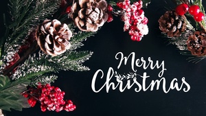 Merry Christmas, Decoration, Xmas background, Fruits, Frozen, Preppy Christmas, Navidad, Noel, December, 4K wallpaper
