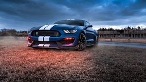 Ford Mustang Shelby GT500, Muscle cars, 4K wallpaper