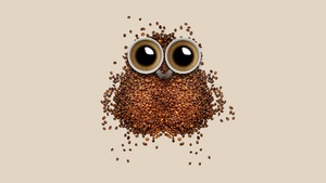 Coffee beans, Owl, Coffee cup, Brown background, Beautiful, Pastel background, Pastel brown, Brown aesthetic, 4K wallpaper