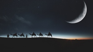 Camels, Silhouette, Moon, Dark background, Night sky, Stars, 4K wallpaper