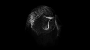 Dark, Black background, 4K wallpaper