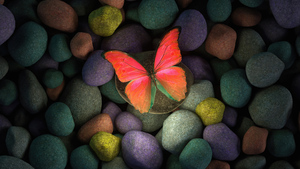 Butterfly, Stones, Colorful, Focus, Pebbles, Aesthetic, Glowing, Girly backgrounds, 4K wallpaper