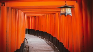 Tokyo, Japanese culture, Torii Pass, Orange, Pattern, Pathway, Temple, 4K wallpaper