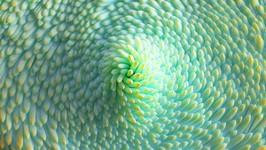 Texture, Render, Green, 3D, 4K wallpaper