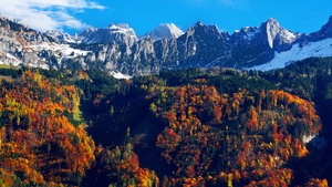 Autumn trees, Snow mountains, Blue Sky, Glacier, Landscape, Mountain range, Scenery, 4K wallpaper