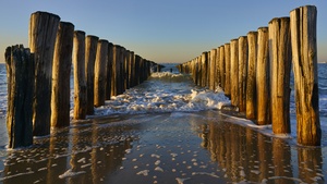Holland, Netherlands, Breakwaters, Sea, Ocean, Waves, Seascape, Woods, Pattern, Evening, Sunset, Coast, 4K wallpaper