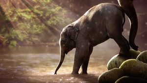 Elephant cub, Rocks, River, Sun rays, Daytime, Mammal, 4K wallpaper