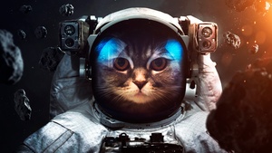 Space suit, Cat, Asteroids, Astronaut, Stars, 4K wallpaper
