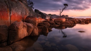 Tasmania, Australia, Sunrise, Landscape, Rocks, Body of Water, 4K wallpaper