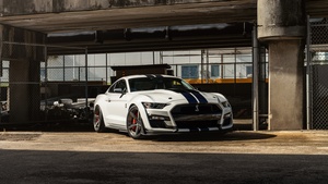 Ford Mustang Shelby GT500, 4K wallpaper