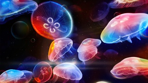 Jellyfishes, Colorful, Underwater, 4K wallpaper